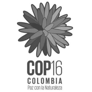 COP 16