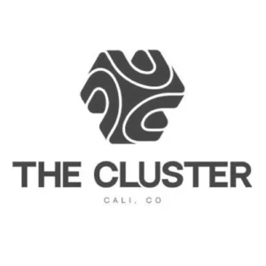 THE CLUSTER